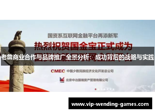 老詹商业合作与品牌推广全景分析：成功背后的战略与实践