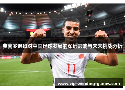 费南多退役对中国足球发展的深远影响与未来挑战分析